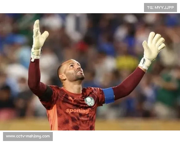 帕尔梅拉斯球迷致敬球队，虽败犹荣